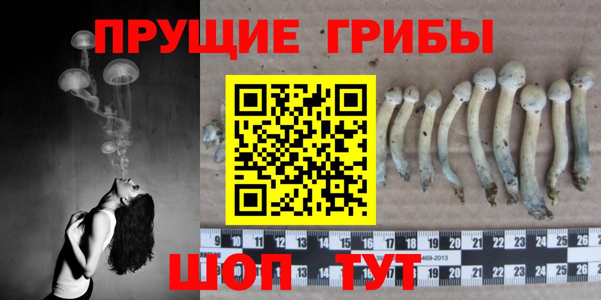 Набережные Челны  Галлюциногенные грибы Cubensis  Вход с VPN 